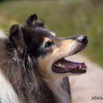 IMG_7413_laag1