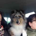 Skye 363